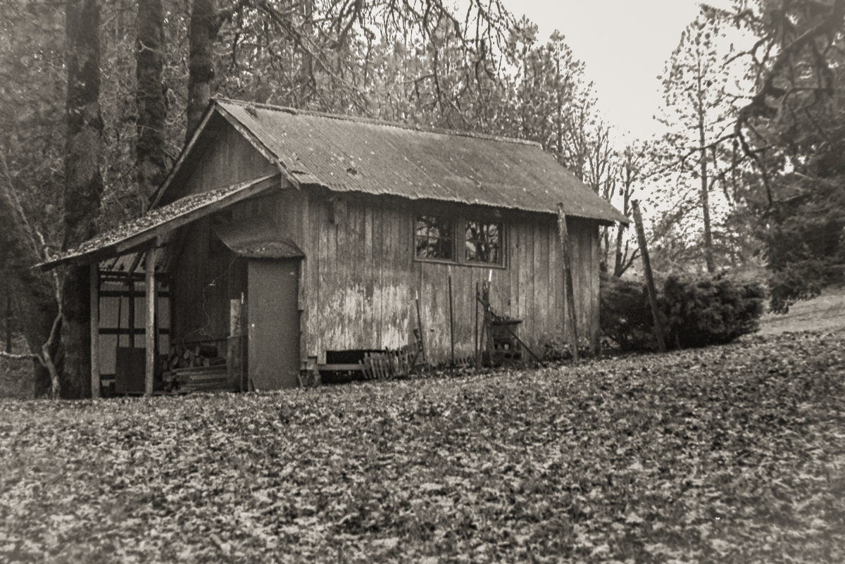 A pair of images taken with a Voigtlander Vito B.