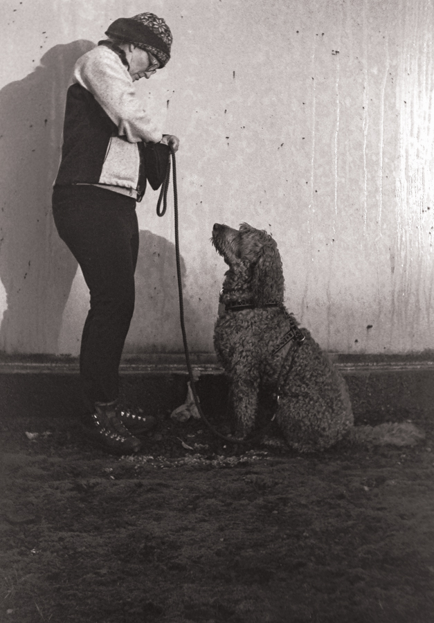 An image of Suzie and Sully in front of the water tower and an image of Sully and Jericho running through the water.