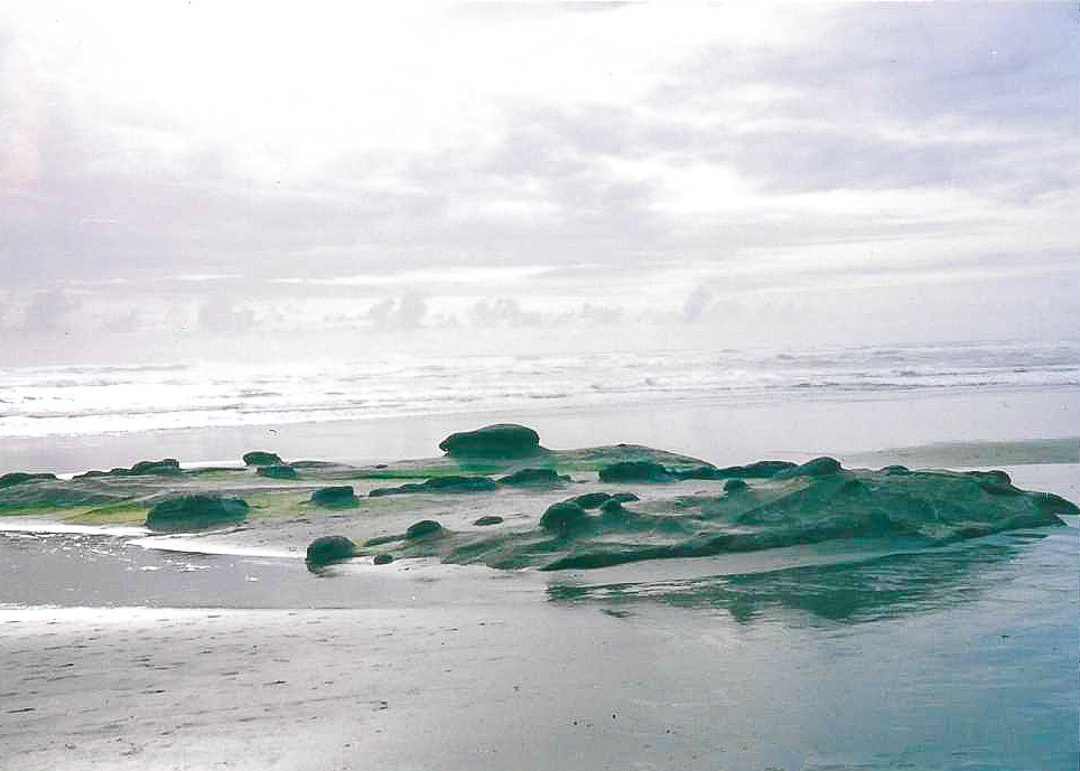 A photo of rocks sticking up out of he sand on the beach.